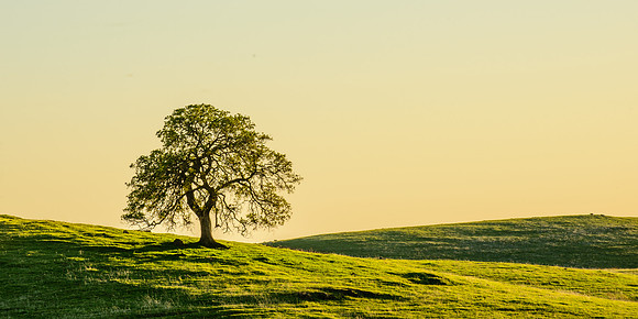 Oakdale, CA