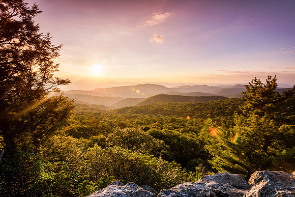 The Point Overlook