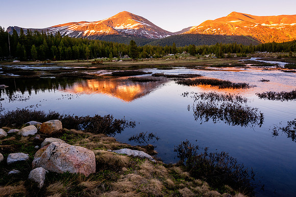 Mount Dana