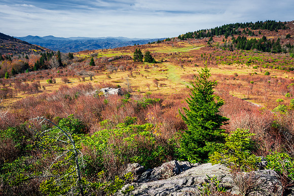 Wilburn Ridge