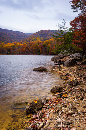 Banks of the Charlottesville Reservoir