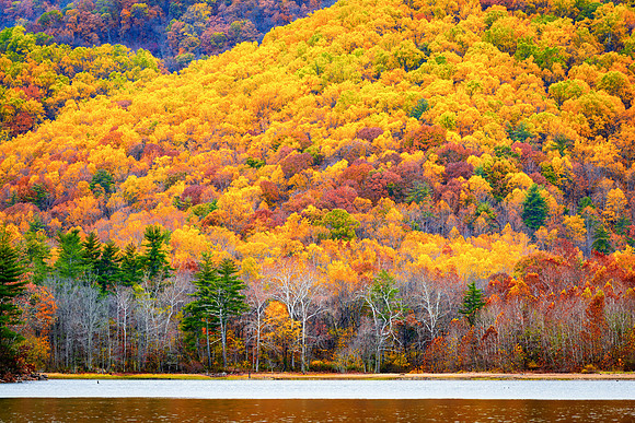 Fall Colors at Charlottesville Reservoir