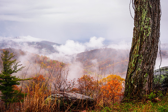Fall at Buck Hollow Overlook
