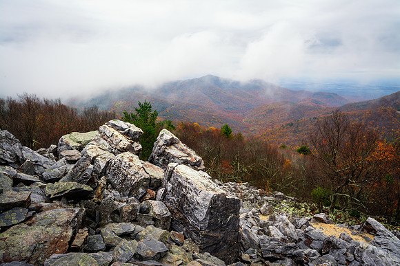 Fall Colors at Blackrock Summit