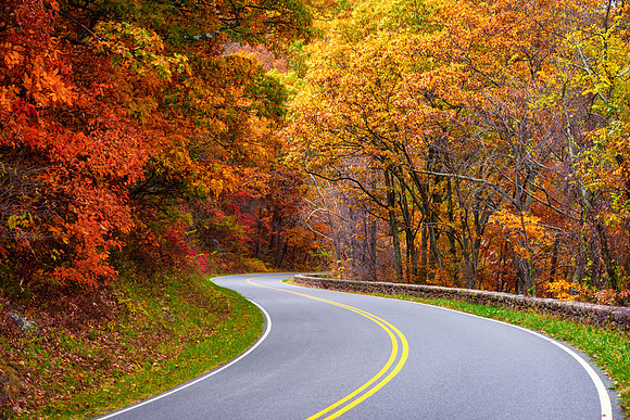 Fall on Skyline Drive
