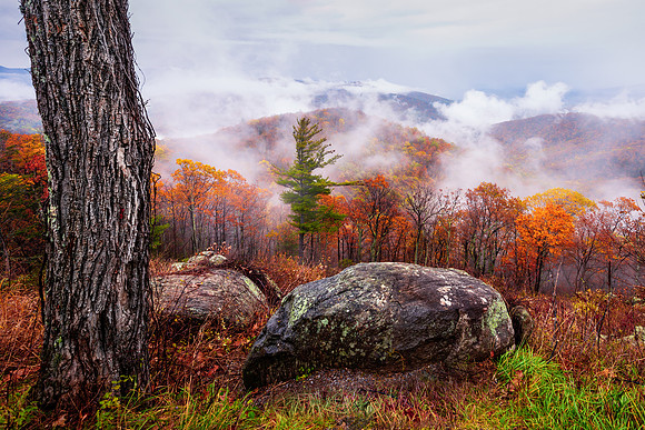 Fall Color at Buck Hollow Overlook