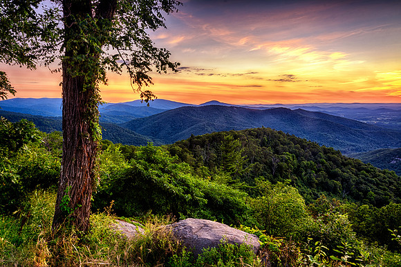 Sunrise at Buck Hollow Overlook