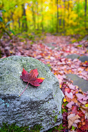 Trail to Table Rock